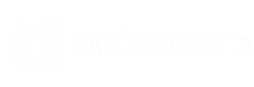 haylaz